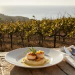 Rezeptidee Wein zum Essen Jakobsmuscheln auf Orangen-Fenchelpüree und ein Glas Picpoul de Pinet